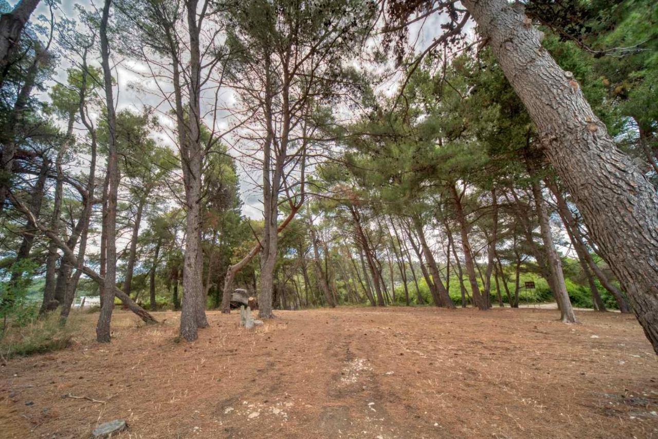 Bor - The Entire Home With Sea View Ulcinj Extérieur photo